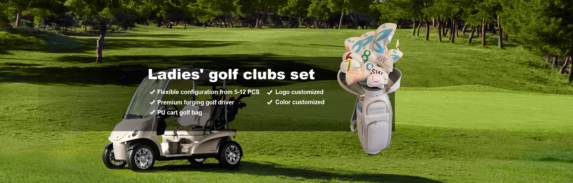 Kina golfklubbor för damer