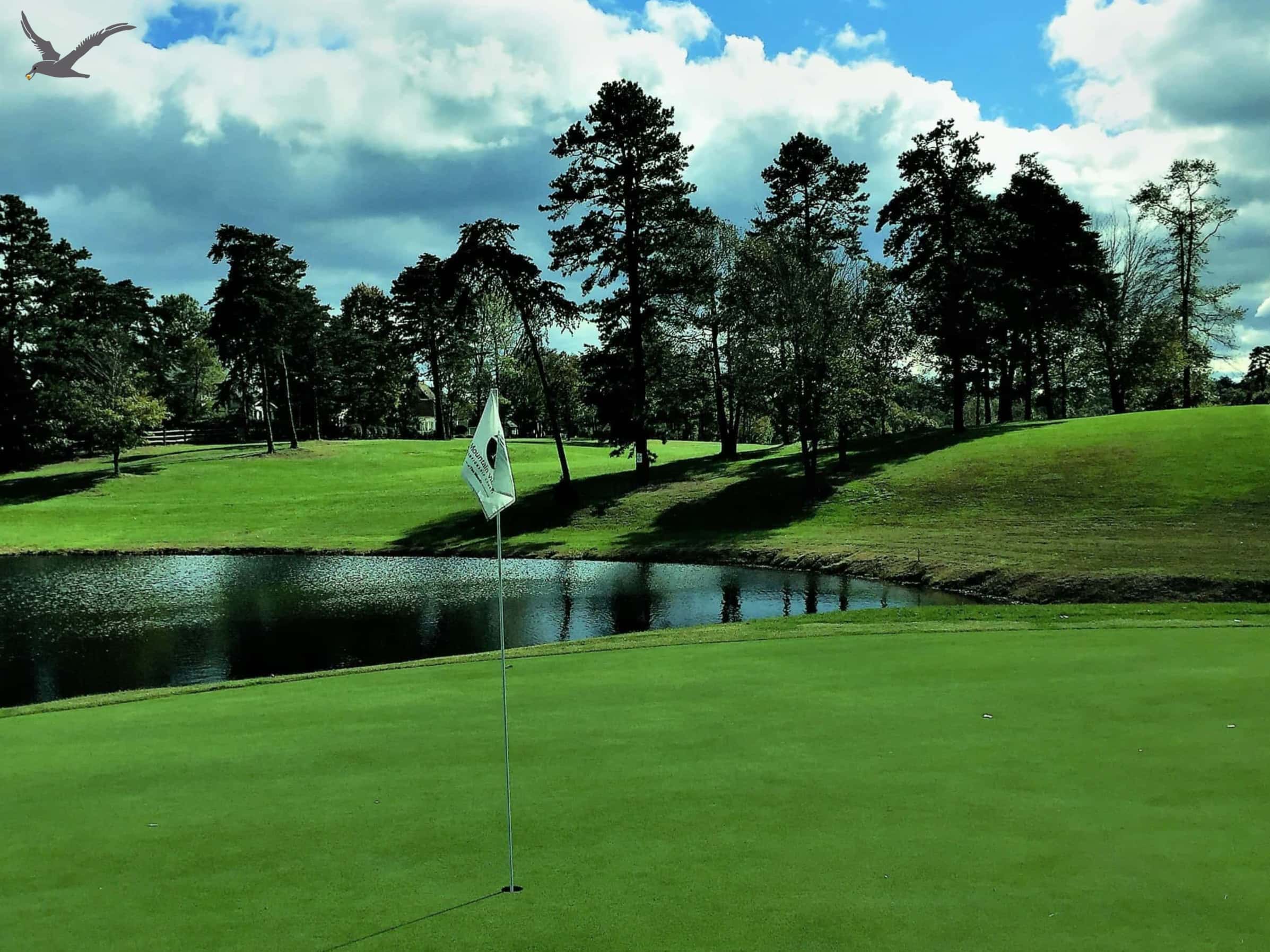 Albatrosssporten: 10 snabba fakta om golf (del 1)